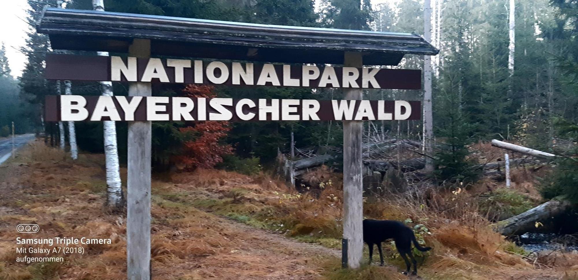 Gaestehaus Am Goldberg Sankt Oswald-Riedlhuette Luaran gambar