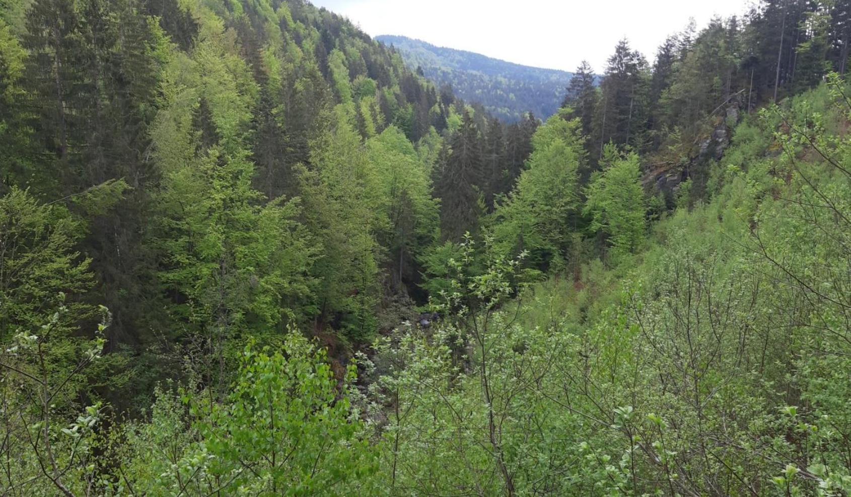Gaestehaus Am Goldberg Sankt Oswald-Riedlhuette Luaran gambar
