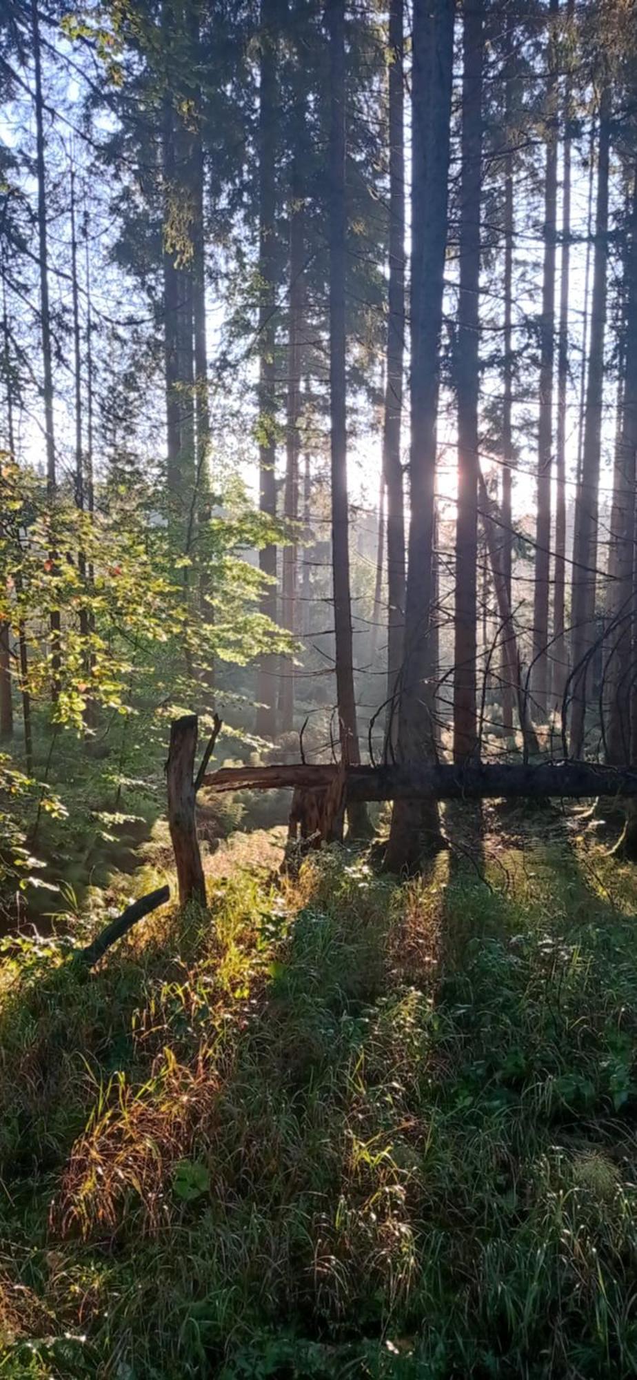 Gaestehaus Am Goldberg Sankt Oswald-Riedlhuette Luaran gambar